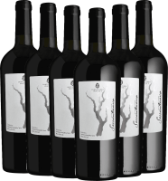 6er Vorteilspaket - Sessantenario Malvasia IGT - Cantina Sampietrana