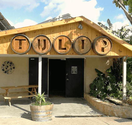 Weingut Tulip
