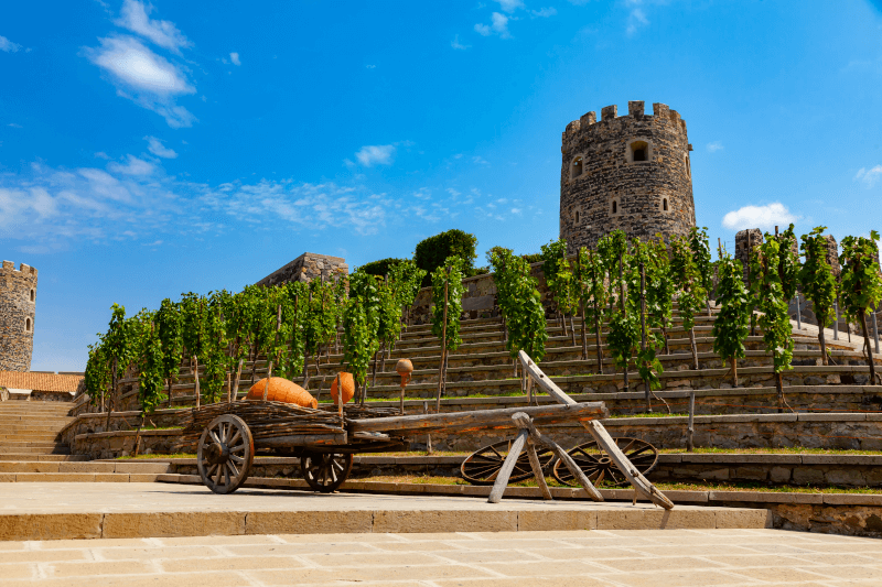 Castelo do Vinho Rabati em Akhaltsikhe, Geórgia