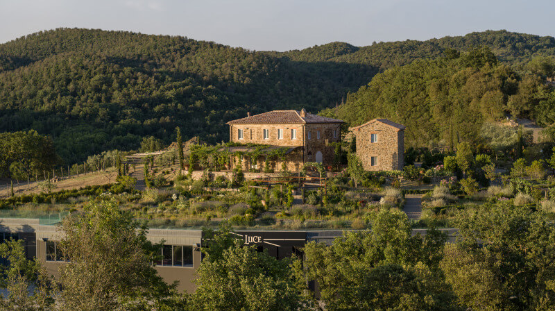 Vinícola Tenuta Luce Vinícola Tenuta Luce