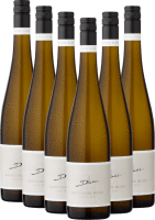 6er Vorteils-Weinpaket - Sauvignon Blanc eins zu eins - A. Diehl