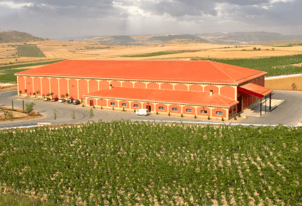 Adega Bodegas Maximo