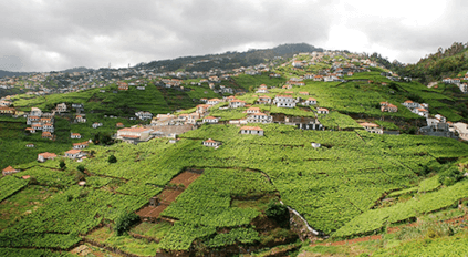 Die für Madeira typischen Poios