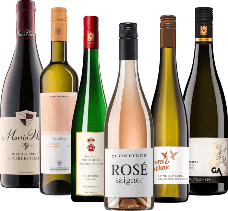 6er Probierpaket - Deutsche Einheit: Die besten Weine aus Ost und West