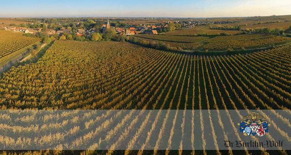 Dr. Bürklin-Wolf Dr. Bürklin-Wolf