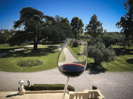 Ein Glas Wein im Schlosspark Ein Glas Wein im Schlosspark
