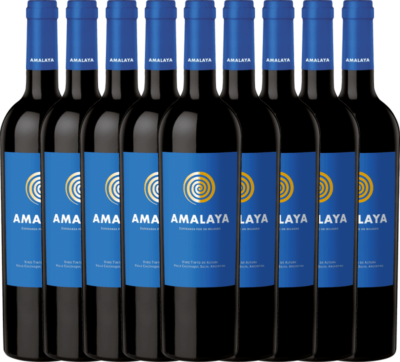 9er Vorteils-Weinpaket - Amalaya Tinto - Bodega Colomé