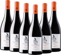 Vorschau: 6x Vorteils-Weinpaket 1921 Primitivo di Manduria Riserva DOP - Varvaglione