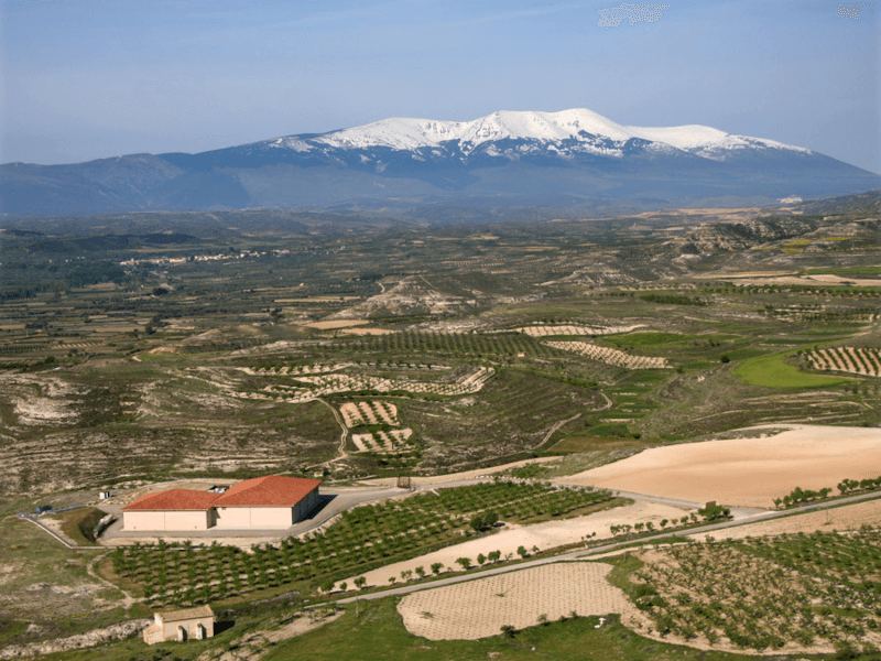 Alto Moncayo Weingut