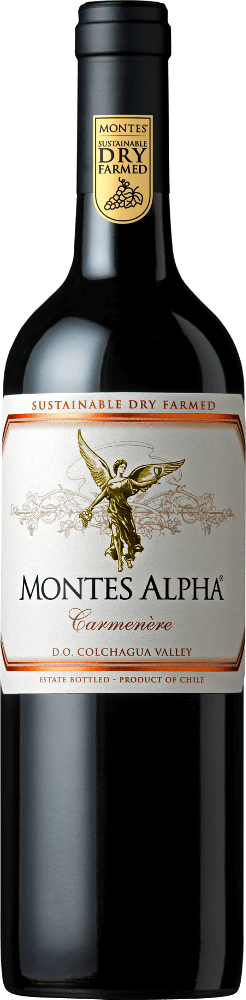 Vorschau: 6er Probierpaket - Chiles großer Star - Carménère