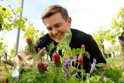 Dominic Stern Dominic Stern