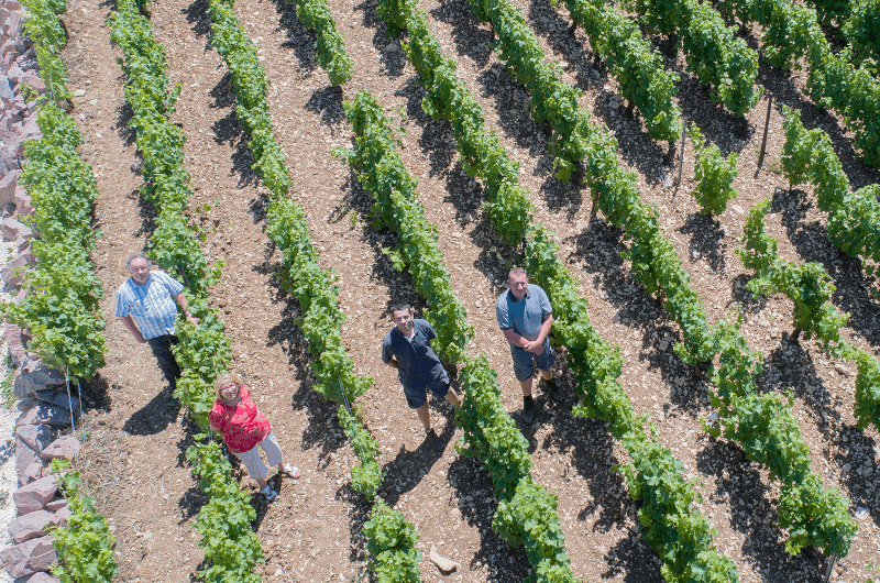 Christian, Nicole, Benoît und Thibaut in ihrem Weinberg
