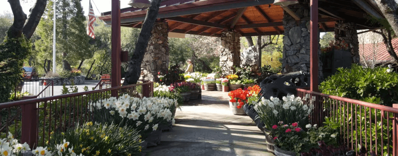 Ironstone Vineyards Eingangsbereich Ironstone-Vineyards-Eingangsbereich