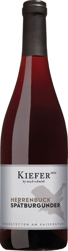 Herrenbuck Spätburgunder trocken 3,0 l Jeroboam - Weingut Kiefer