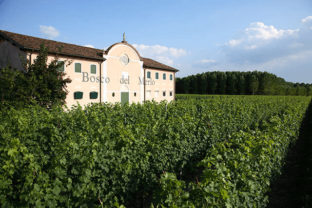 Bosco del Merlo in Venetien
