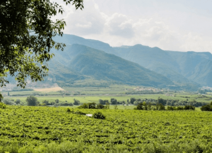 Região em torno da Cantina Valdadige Região em torno da Cantina Valdadige