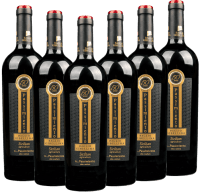 U...Passimiento DOC - Baglio Gibellina - pacote vantajoso 6x