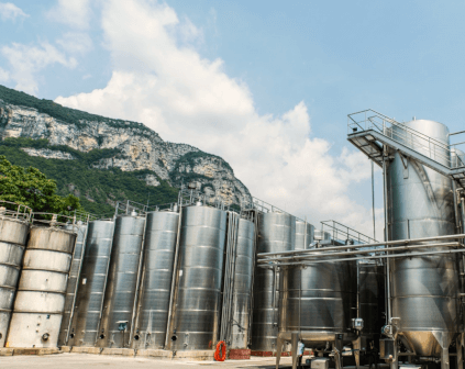 Adega Cantina Valdadige Adega Cantina Valdadige