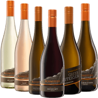 Pack de degustação de 6 garrafas – vinhos do Mosela da vinícola Schmitges