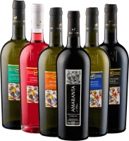6er Kennenlernpaket - Weine von Tenuta Ulisse