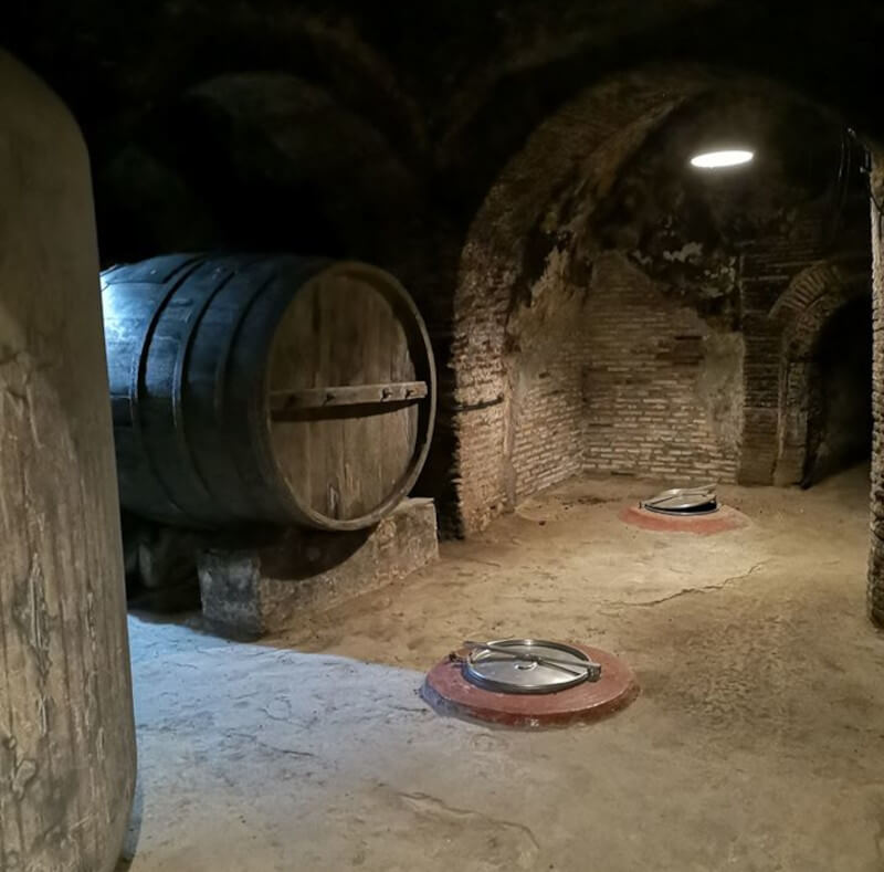 weingut-bodegas_alvarez-y_diez-weinberg