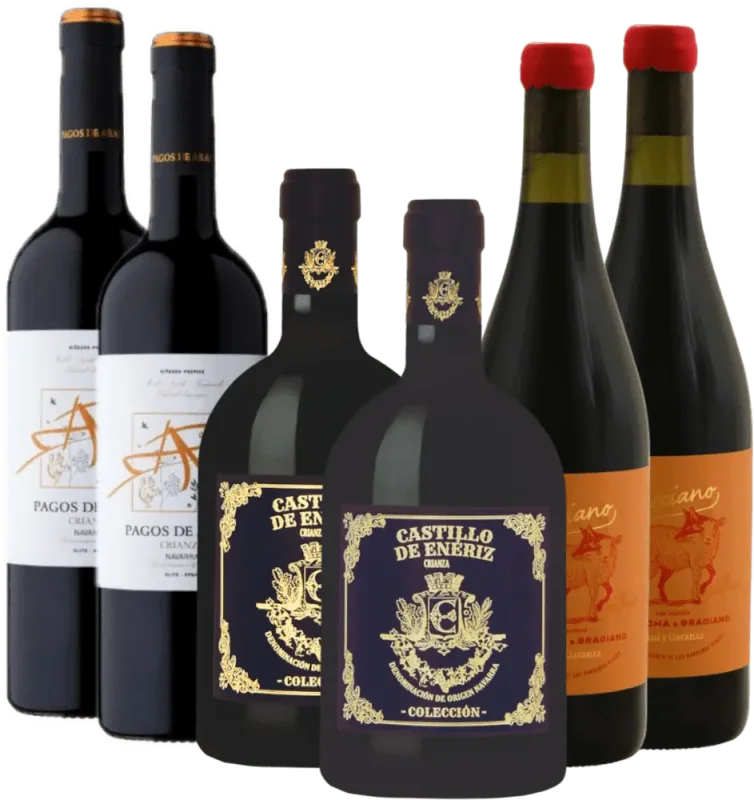 Apreciação de vinho tinto de Navarra - Pack descobridor 6x