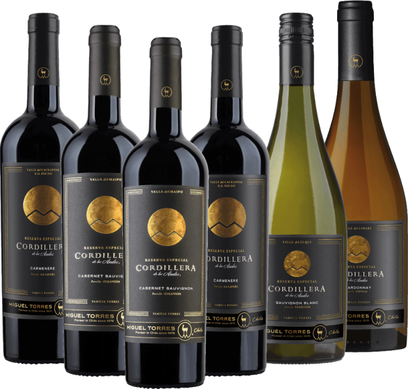 Pack de degustação com 6 vinhos premium Cordillera da Torres, do Chile
