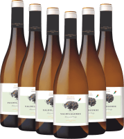 6er Vorteilspaket - Valdelagunde Cuvée Especial Verdejo - Pedro Escudero