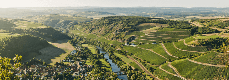 Luftbild der Weinberge um Niederhausen