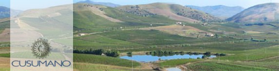 Vinícola Cusumano