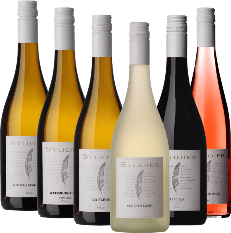 6er Kennenlern-Weinpaket - Das Grundstudium vom Weingut Studier