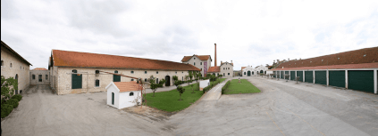 A adega DFJ Vinhos A adega DFJ Vinhos