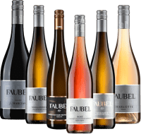 Fabulosos vinhos da Weingut Faubel - pacote de degustação de 6x