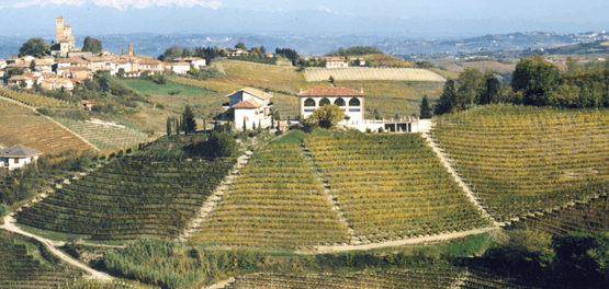 Azienda Falletto Giacosa