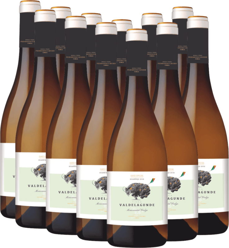 12er Vorteilspaket - Valdelagunde Cuvée Especial Verdejo - Pedro Escudero