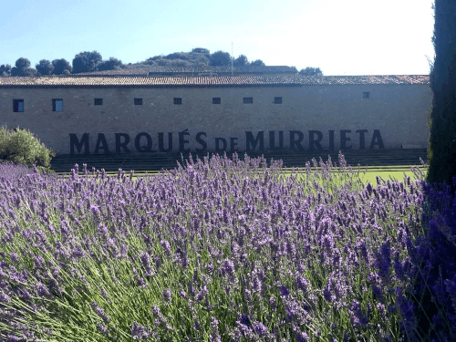 a adega espanhola Marques de Murrieta