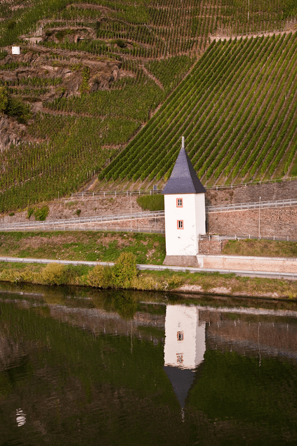 Das Weinhaus Gebrüder Steffen an der Mosel Das Weinhaus Gebrüder Steffen an der Mosel
