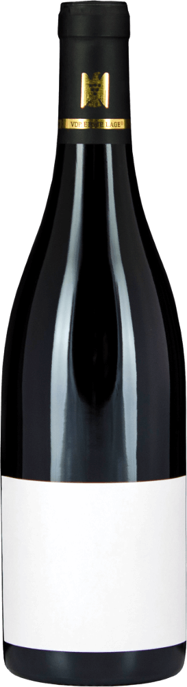 Vorschau: 6x Vorteils-Weinpaket Fellbacher Trollinger SINE trocken - Aldinger