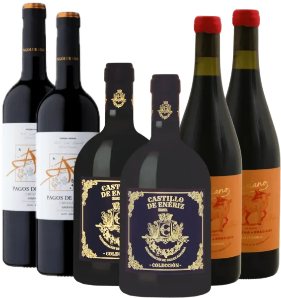 Apreciação de vinho tinto de Navarra - Pack descobridor 6x