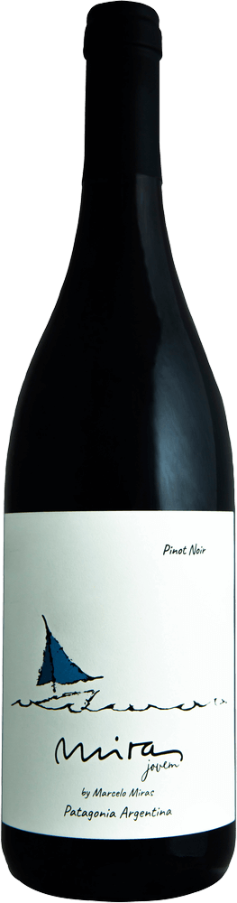 Vorschau: Tesouros do vinho escondidos da Argentina da VINELLO - Pacote de descoberta com 6 garrafas