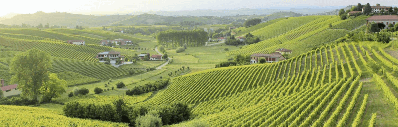 Cascina Carlot Berg Cascina Carlot Berg