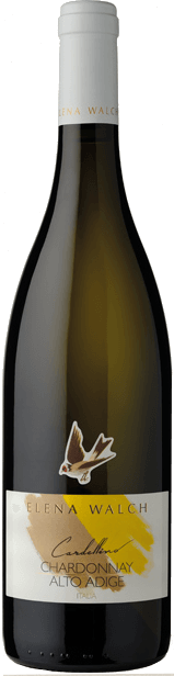 Cardellino Chardonnay Alto Adige DOC - Elena Walch