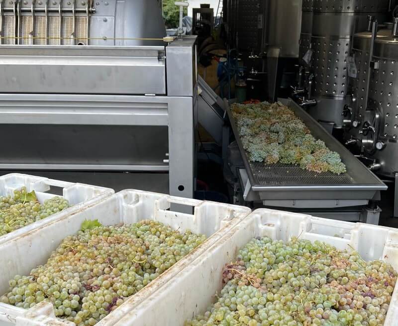 weingut-and_wines-weinberg