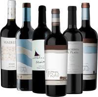 6er Rebsortenpaket - Best of Malbec Argentina
