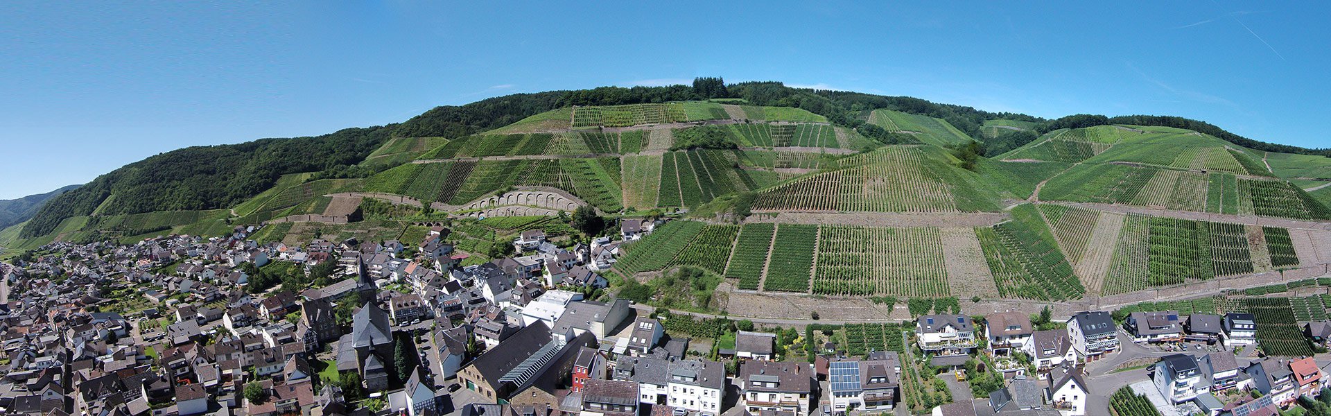 Os vinhedos em encostas íngremes trabalhados à mão da vinícola Jean Stodden Os vinhedos em encostas íngremes trabalhados à mão da vinícola Jean Stodden