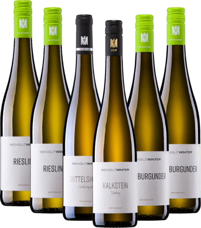 Os bestsellers da vinícola Winter - Pacote de descoberta de 6x