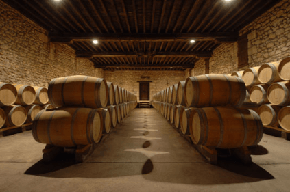 Der Keller des Château de Pez