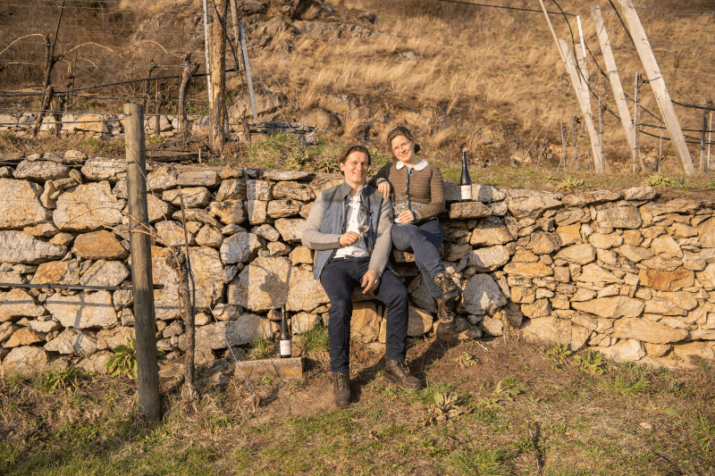 Vinho Quinta Schmidl Vinho Quinta Schmidl