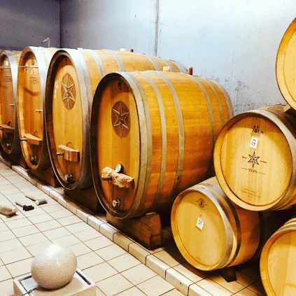 Weingut Stern Keller Weingut Stern Keller