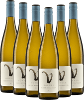Steinbock Gelber Muskateller - Weingut Hörner - 6x Vorteilspaket